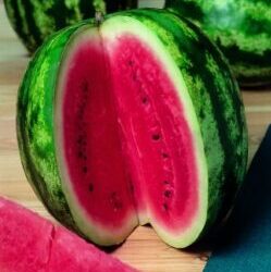 Watermelon red photo